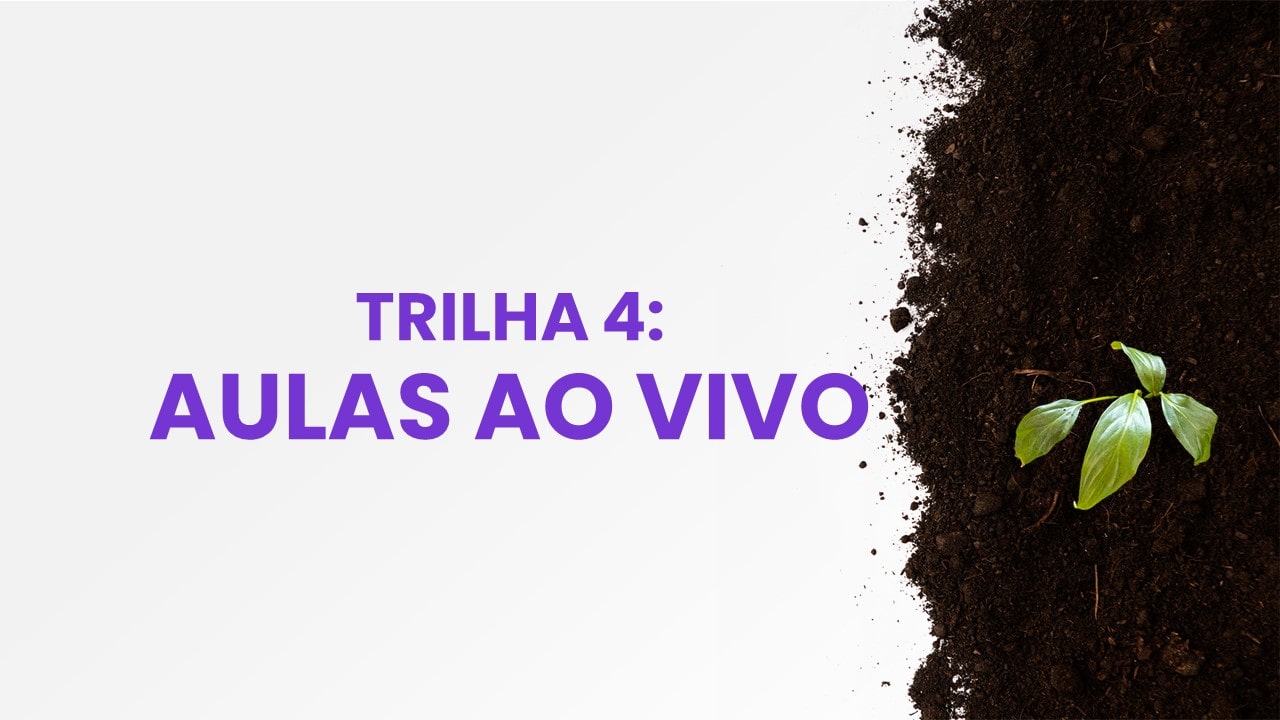 Trilha 4: Aulas ao Vivo